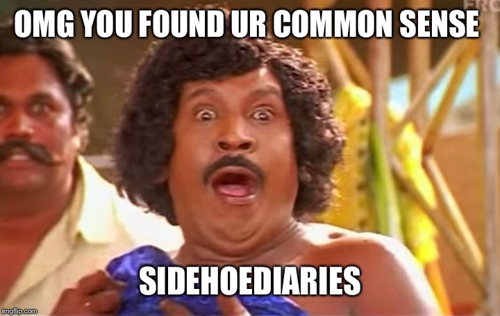 OMG YOU FOUND UR COMMON SENSE; SIDEHOEDIARIES | image tagged in it will be fun they said,omg | made w/ Imgflip meme maker