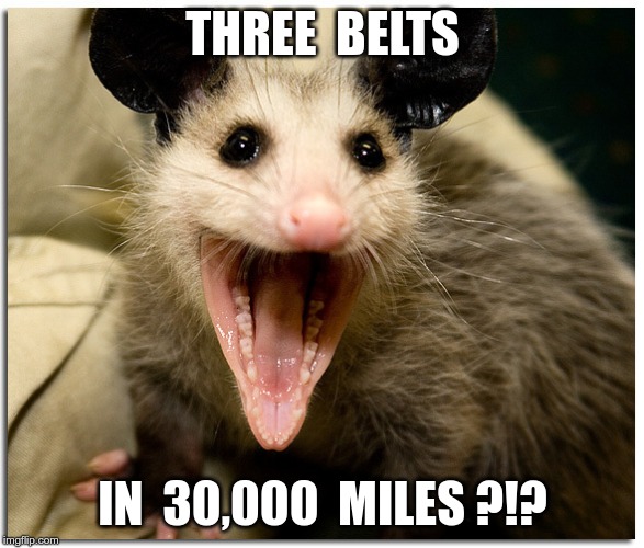 Awesome Possum | THREE  BELTS; IN  30,000  MILES ?!? | image tagged in awesome possum | made w/ Imgflip meme maker