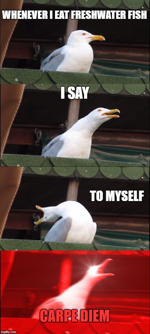 Inhaling Seagull | WHENEVER I EAT FRESHWATER FISH; I SAY; TO MYSELF; CARPE DIEM | image tagged in memes,inhaling seagull | made w/ Imgflip meme maker