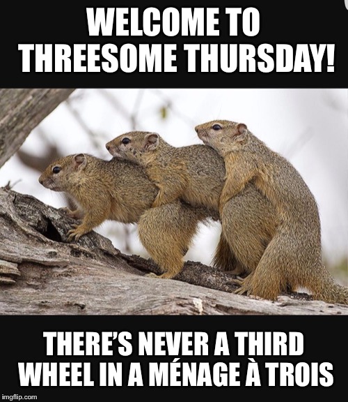 Squirrels having threesomes | WELCOME TO THREESOME THURSDAY! THERE’S NEVER A THIRD WHEEL IN A MÉNAGE À TROIS | image tagged in squirrels having threesomes | made w/ Imgflip meme maker