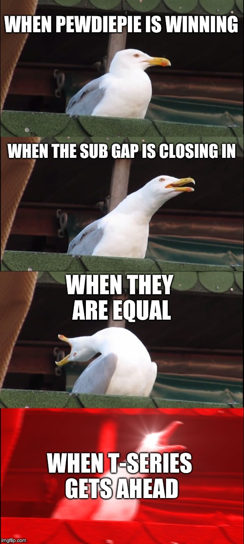 Inhaling Seagull | WHEN PEWDIEPIE IS WINNING; WHEN THE SUB GAP IS CLOSING IN; WHEN THEY ARE EQUAL; WHEN T-SERIES GETS AHEAD | image tagged in memes,inhaling seagull | made w/ Imgflip meme maker