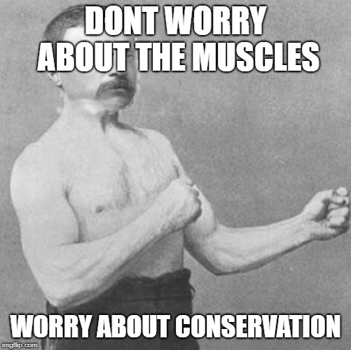 Overly Manly Theodore Roosevelt | DONT WORRY ABOUT THE MUSCLES; WORRY ABOUT CONSERVATION | image tagged in overly manly theodore roosevelt | made w/ Imgflip meme maker