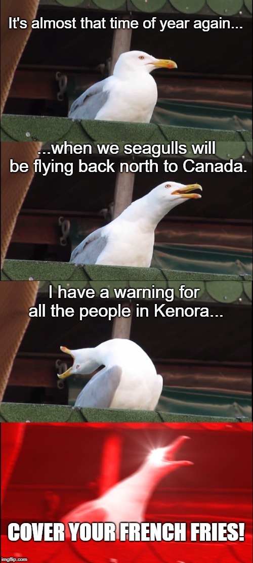 Cover Your Fries! | It's almost that time of year again... ...when we seagulls will be flying back north to Canada. I have a warning for all the people in Kenora... COVER YOUR FRENCH FRIES! | image tagged in memes,inhaling seagull | made w/ Imgflip meme maker