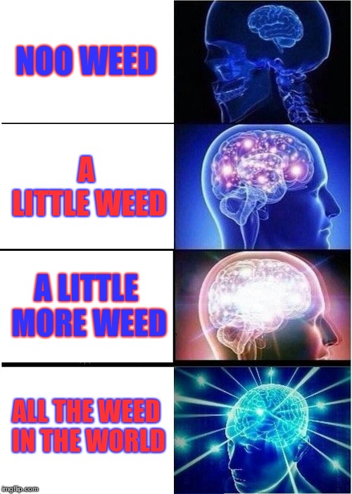 Expanding Brain Meme | NOO WEED; A LITTLE WEED; A LITTLE MORE WEED; ALL THE WEED IN THE WORLD | image tagged in memes,expanding brain | made w/ Imgflip meme maker