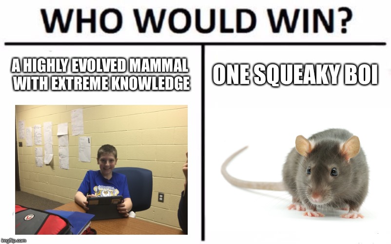 Who Would Win? Meme | A HIGHLY EVOLVED MAMMAL WITH EXTREME KNOWLEDGE; ONE SQUEAKY BOI | image tagged in memes,who would win | made w/ Imgflip meme maker