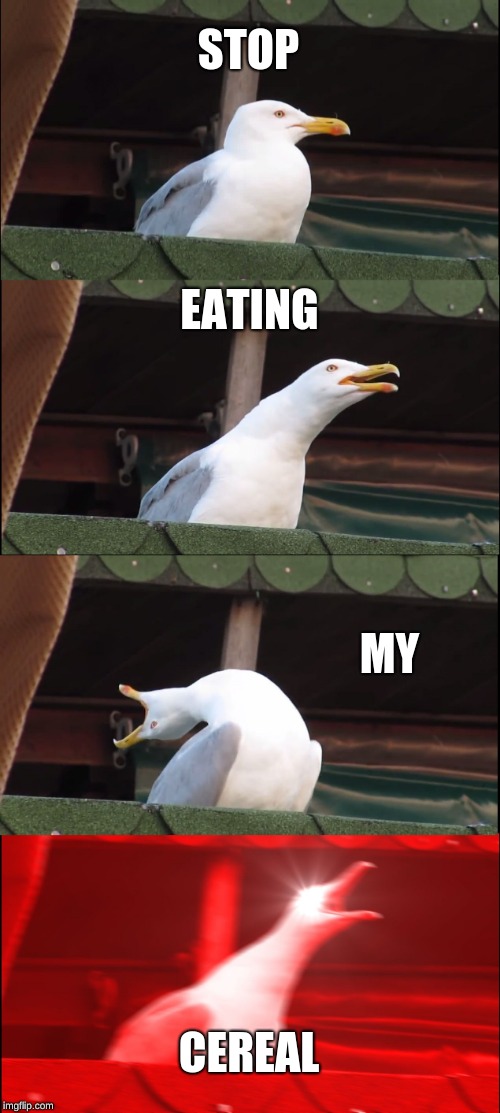Inhaling Seagull Meme | STOP; EATING; MY; CEREAL | image tagged in memes,inhaling seagull | made w/ Imgflip meme maker