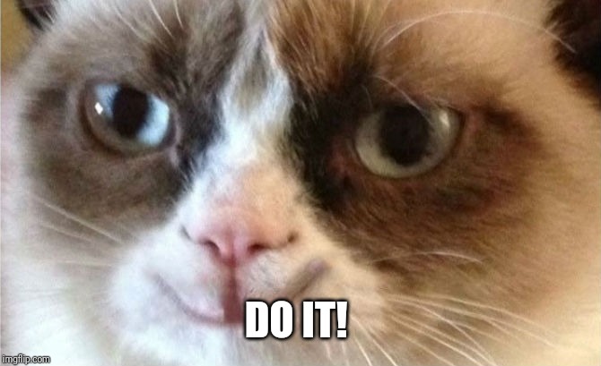 Grumpy Cat happy | DO IT! | image tagged in grumpy cat happy | made w/ Imgflip meme maker