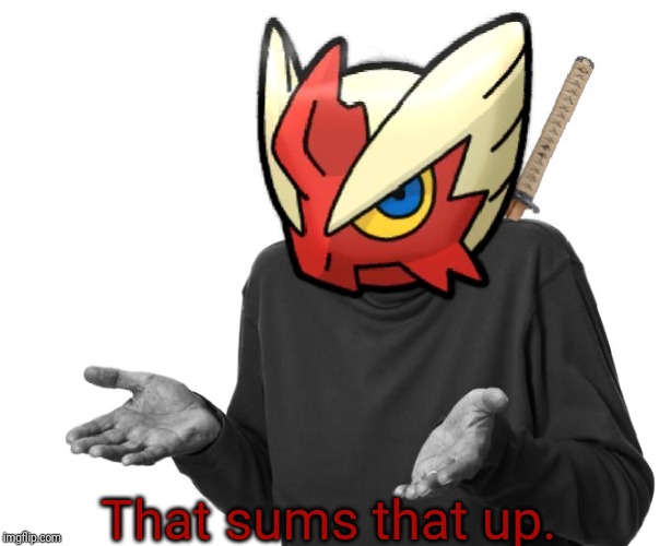 I guess I'll (Blaze the Blaziken) | That sums that up. | image tagged in i guess i'll blaze the blaziken | made w/ Imgflip meme maker