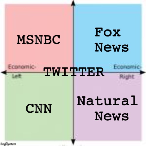 4-Square Political Compass | MSNBC; Fox News; TWITTER; CNN; Natural News | image tagged in political compass | made w/ Imgflip meme maker