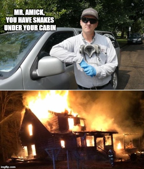 Snakes | MR. AMICK, YOU HAVE SNAKES UNDER YOUR CABIN | image tagged in snakes,fear,phobias | made w/ Imgflip meme maker