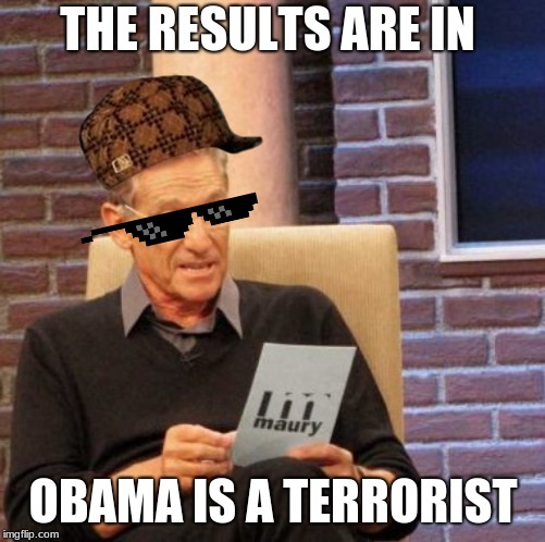 Maury Lie Detector | THE RESULTS ARE IN; OBAMA IS A TERRORIST | image tagged in memes,maury lie detector | made w/ Imgflip meme maker