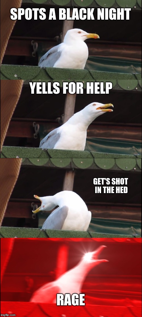 Inhaling Seagull Meme | SPOTS A BLACK NIGHT; YELLS FOR HELP; GET'S SHOT IN THE HED; RAGE | image tagged in memes,inhaling seagull | made w/ Imgflip meme maker