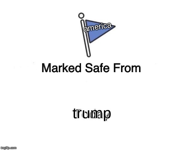 Marked Safe From Meme | america; trump | image tagged in memes,marked safe from | made w/ Imgflip meme maker
