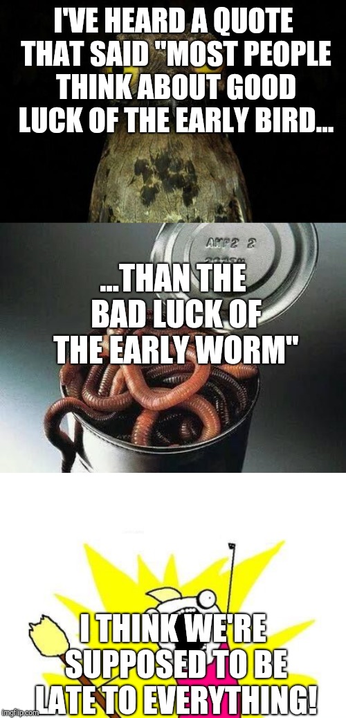 Idk who said this | I'VE HEARD A QUOTE THAT SAID "MOST PEOPLE THINK ABOUT GOOD LUCK OF THE EARLY BIRD... ...THAN THE BAD LUCK OF THE EARLY WORM"; I THINK WE'RE SUPPOSED TO BE LATE TO EVERYTHING! | image tagged in memes,x all the y,weird stuff i do potoo,can of worms,worms,early bird | made w/ Imgflip meme maker