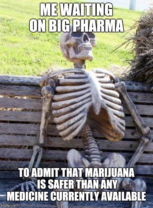 Waiting Skeleton Meme | ME WAITING ON BIG PHARMA; TO ADMIT THAT MARIJUANA IS SAFER THAN ANY MEDICINE CURRENTLY AVAILABLE | image tagged in memes,waiting skeleton | made w/ Imgflip meme maker