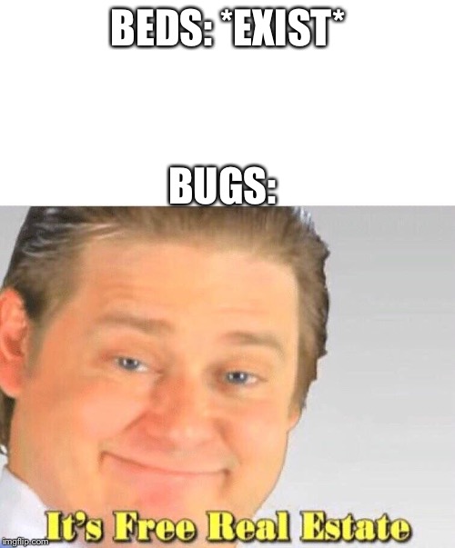 Free Real Estate | BEDS: *EXIST*; BUGS: | image tagged in free real estate | made w/ Imgflip meme maker