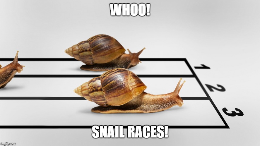 Snail race | WHOO! SNAIL RACES! | image tagged in snail race | made w/ Imgflip meme maker