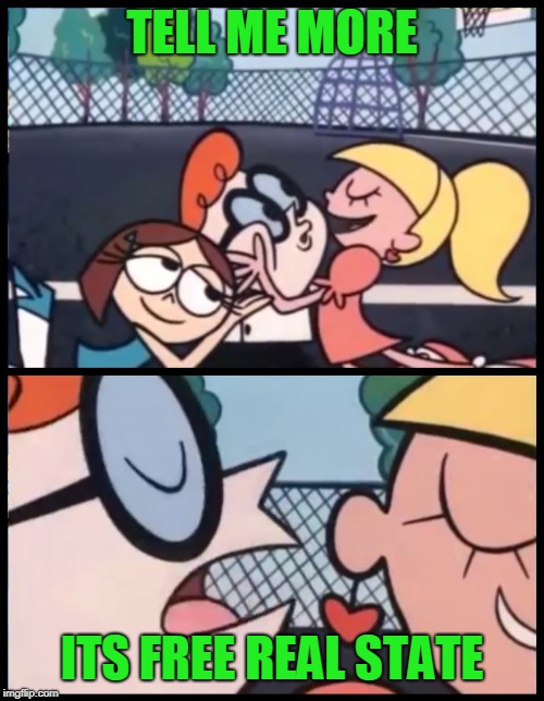 Say it Again, Dexter Meme | TELL ME MORE; ITS FREE REAL STATE | image tagged in memes,say it again dexter | made w/ Imgflip meme maker