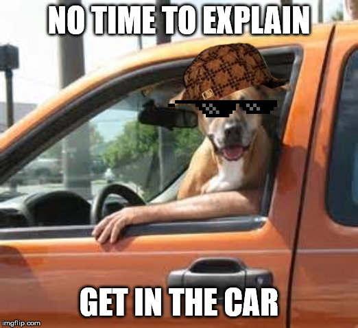 NO TIME TO EXPLAIN CAT, GET IN THE CAR | NO TIME TO EXPLAIN; GET IN THE CAR | image tagged in no time to explain,cats,dogs,cats and dogs | made w/ Imgflip meme maker