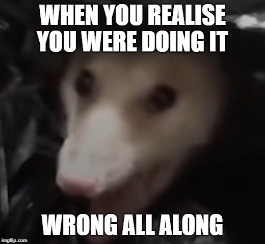 rat meme | WHEN YOU REALISE YOU WERE DOING IT; WRONG ALL ALONG | image tagged in ratmeme | made w/ Imgflip meme maker