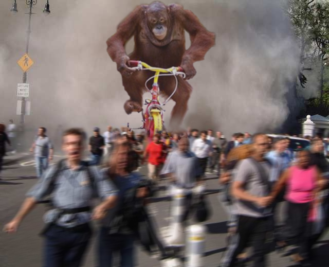 Orangutan On Bike Blank Meme Template