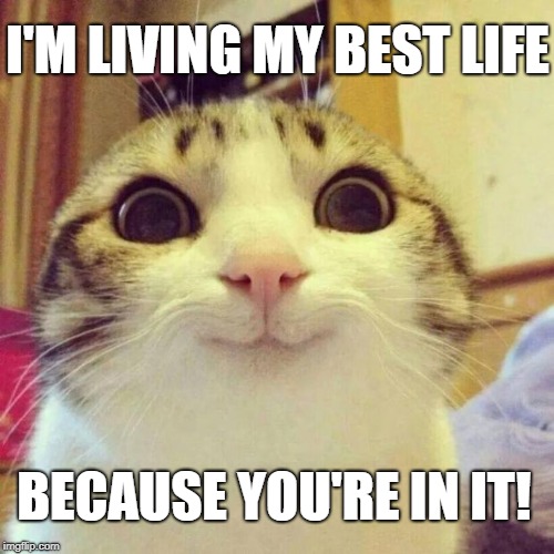 Smiling Cat Meme | I'M LIVING MY BEST LIFE; BECAUSE YOU'RE IN IT! | image tagged in memes,smiling cat | made w/ Imgflip meme maker