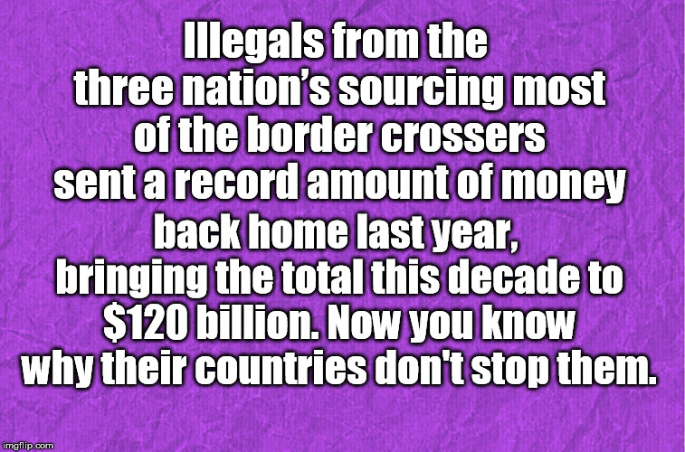 Generic purple background | Illegals from the three nation’s sourcing most of the border crossers sent a record amount of money; back home last year, bringing the total this decade to $120 billion. Now you know why their countries don't stop them. | image tagged in generic purple background | made w/ Imgflip meme maker