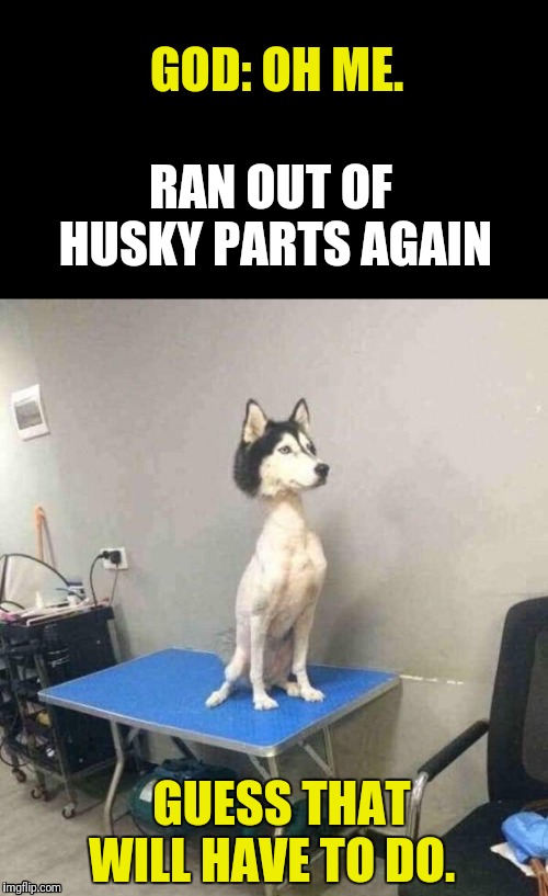 Build-a-Dog | GOD: OH ME. RAN OUT OF HUSKY PARTS AGAIN; GUESS THAT WILL HAVE TO DO. | image tagged in dog,puzzle,carry on | made w/ Imgflip meme maker