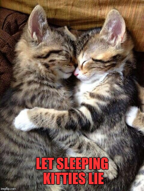 Cute Cats Cuddling | LET SLEEPING KITTIES LIE | image tagged in cute cats cuddling | made w/ Imgflip meme maker