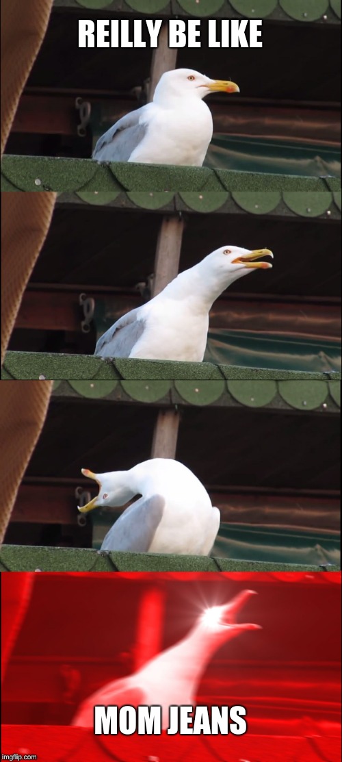 Inhaling Seagull Meme | REILLY BE LIKE; MOM JEANS | image tagged in memes,inhaling seagull | made w/ Imgflip meme maker