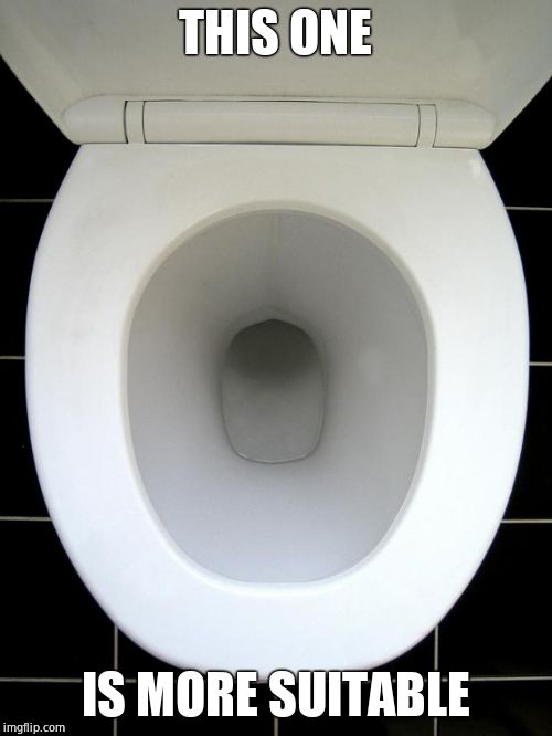 TOILET | THIS ONE IS MORE SUITABLE | image tagged in toilet | made w/ Imgflip meme maker