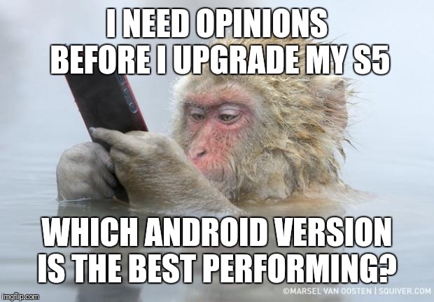 monkey mobile phone | I NEED OPINIONS BEFORE I UPGRADE MY S5; WHICH ANDROID VERSION IS THE BEST PERFORMING? | image tagged in monkey mobile phone | made w/ Imgflip meme maker