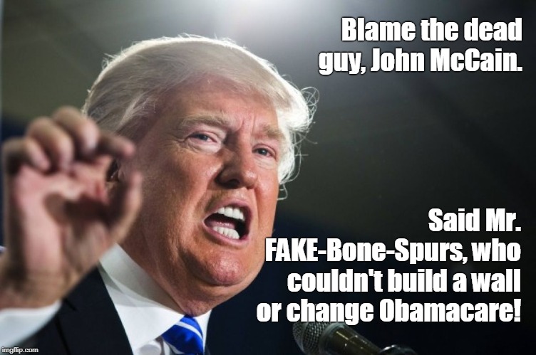 Trump hits below the belt, as usual. | Blame the dead guy, John McCain. Said Mr. FAKE-Bone-Spurs, who couldn't build a wall or change Obamacare! | image tagged in donald trump,trump,bone spurs,fake news,john mccain,no wall | made w/ Imgflip meme maker