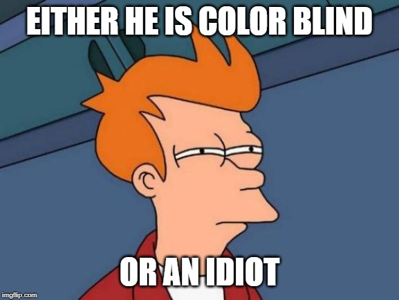 Futurama Fry Meme | EITHER HE IS COLOR BLIND OR AN IDIOT | image tagged in memes,futurama fry | made w/ Imgflip meme maker