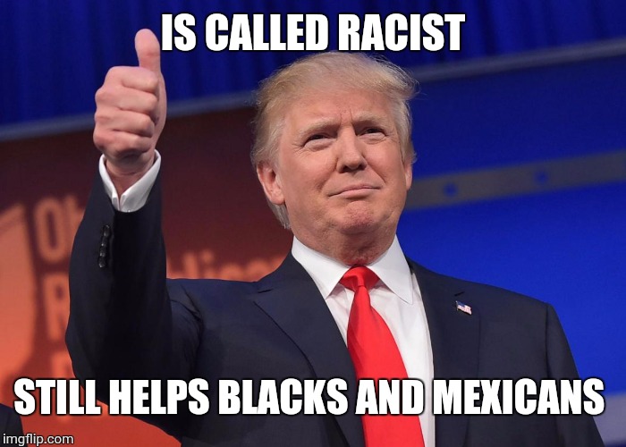 donald trump | IS CALLED RACIST STILL HELPS BLACKS AND MEXICANS | image tagged in donald trump | made w/ Imgflip meme maker