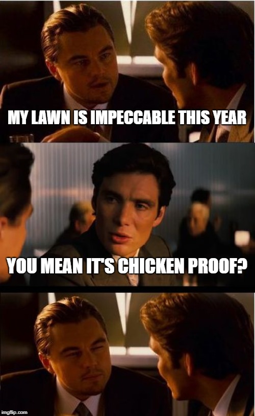Bad Pun Joseph Gordon-Levitt | MY LAWN IS IMPECCABLE THIS YEAR; YOU MEAN IT'S CHICKEN PROOF? | image tagged in memes,inception,chickens,bad puns,impeccable,chicken proof | made w/ Imgflip meme maker