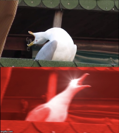 High Quality Inhaling seagull Blank Meme Template