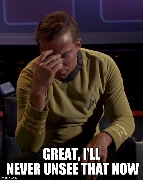 Kirk face palm | GREAT, I'LL NEVER UNSEE THAT NOW | image tagged in kirk face palm | made w/ Imgflip meme maker
