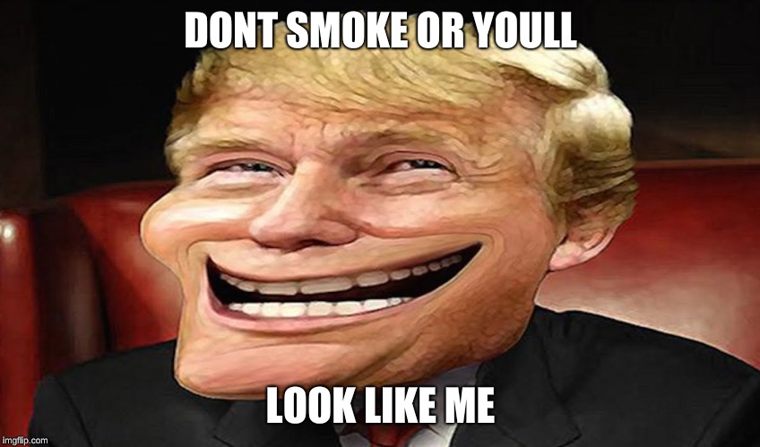 donald trump troll face meme | DONT SMOKE OR YOULL; LOOK LIKE ME | image tagged in troll | made w/ Imgflip meme maker