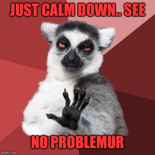 calm down | JUST CALM DOWN.. SEE NO PROBLEMUR | image tagged in calm down | made w/ Imgflip meme maker