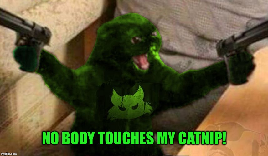 RayCat Angry | NO BODY TOUCHES MY CATNIP! | image tagged in raycat angry | made w/ Imgflip meme maker