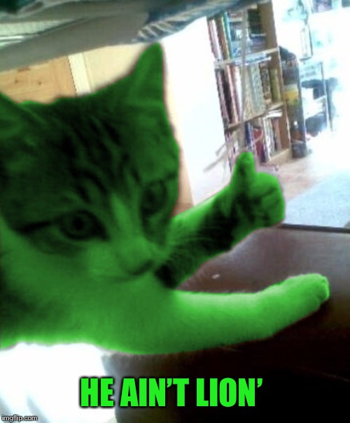 thumbs up RayCat | HE AIN’T LION’ | image tagged in thumbs up raycat | made w/ Imgflip meme maker
