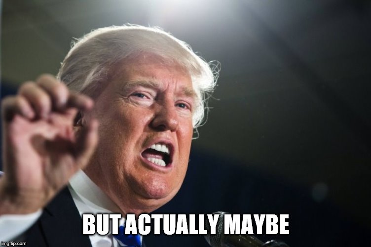 donald trump | BUT ACTUALLY MAYBE | image tagged in donald trump | made w/ Imgflip meme maker