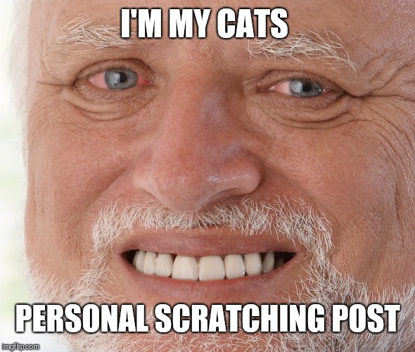 Hide the Pain Harold | I'M MY CATS PERSONAL SCRATCHING POST | image tagged in hide the pain harold | made w/ Imgflip meme maker