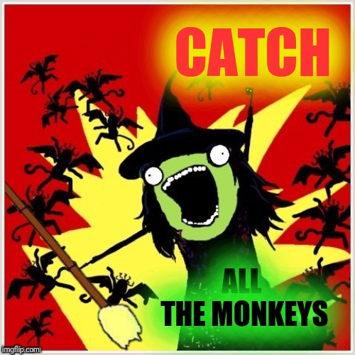 X-All-The-Y-Wicked-Witch-Broom | CATCH ALL THE MONKEYS | image tagged in x-all-the-y-wicked-witch-broom | made w/ Imgflip meme maker