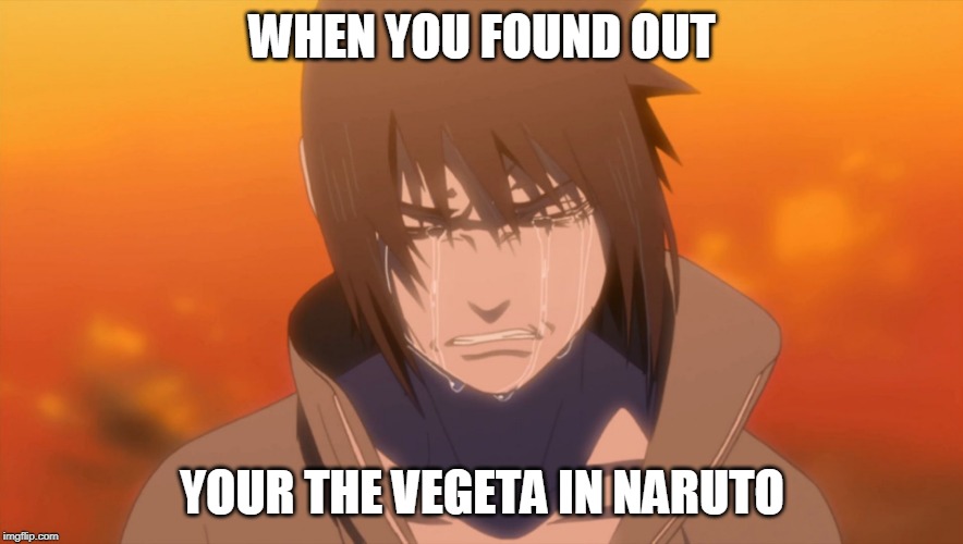 Sasuke Crying | WHEN YOU FOUND OUT; YOUR THE VEGETA IN NARUTO | image tagged in sasuke crying | made w/ Imgflip meme maker