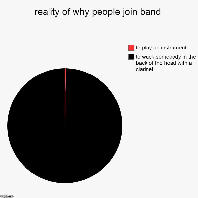 reality of why people join band | to wack somebody in the back of the head with a clarinet, to play an instrument | image tagged in charts,pie charts | made w/ Imgflip chart maker