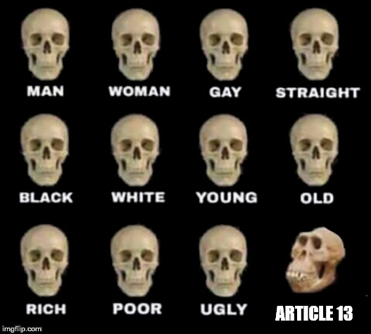 idiot skull | ARTICLE 13 | image tagged in idiot skull | made w/ Imgflip meme maker