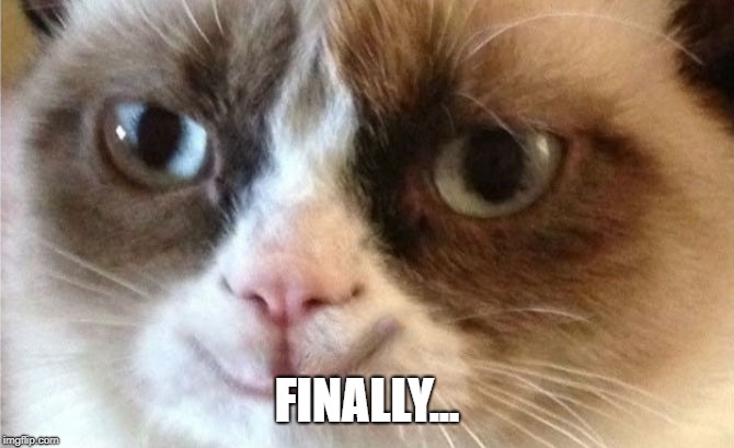 Grumpy Cat happy | FINALLY... | image tagged in grumpy cat happy | made w/ Imgflip meme maker