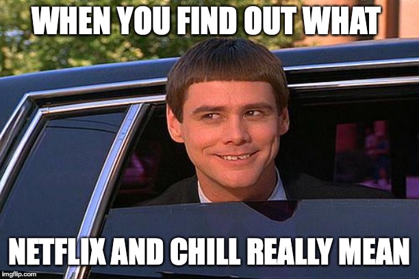 cool and stupid | WHEN YOU FIND OUT WHAT; NETFLIX AND CHILL REALLY MEAN | image tagged in cool and stupid | made w/ Imgflip meme maker